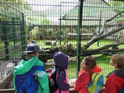 Výlet do ZOO Chleby a Labyrintária Loučeň